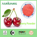 Quality Guarantee Organic Natural Cherry Juice Powder